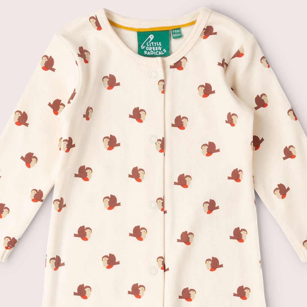 Little Robin Organic Babygrow