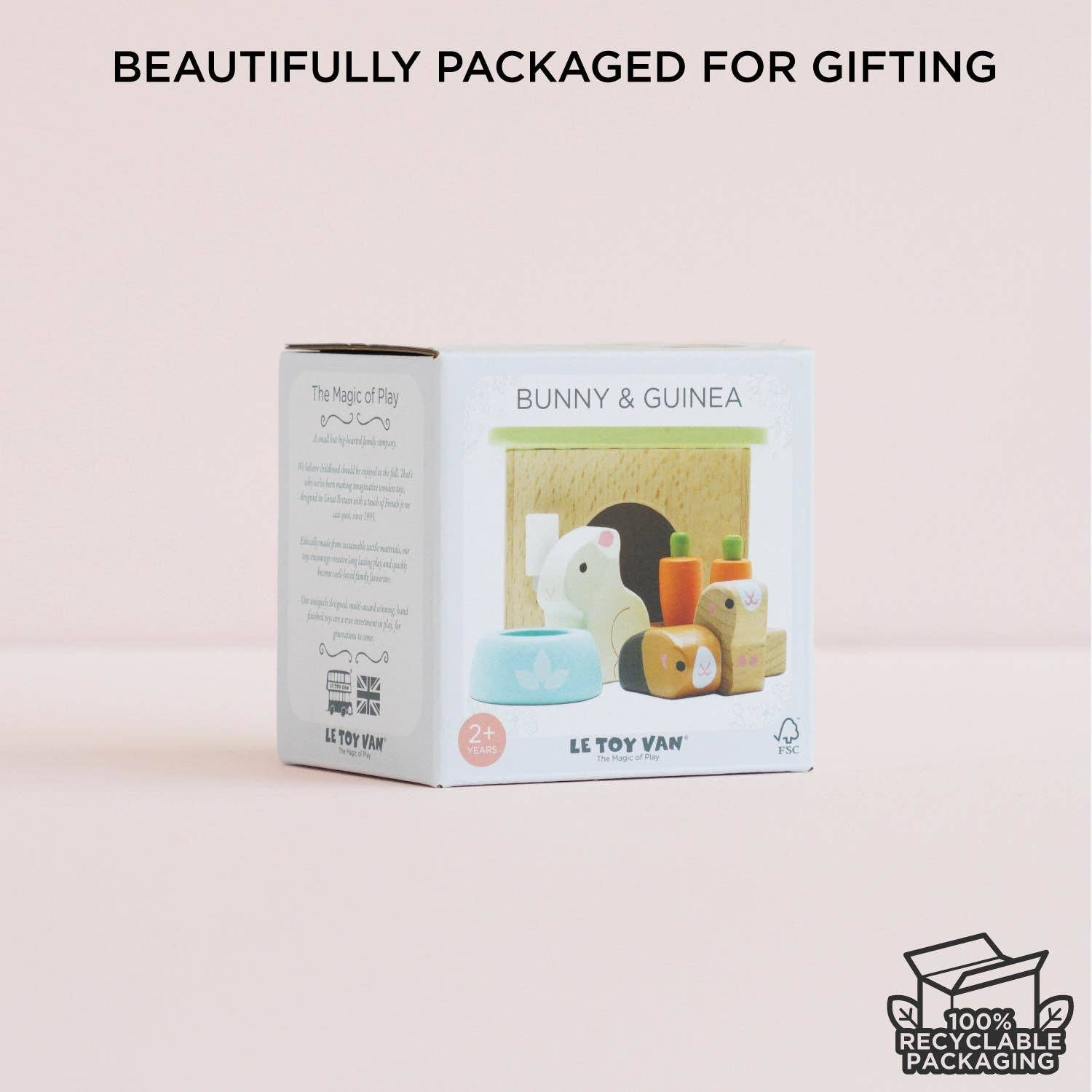 Bunny & Guinea Pet Animal Set