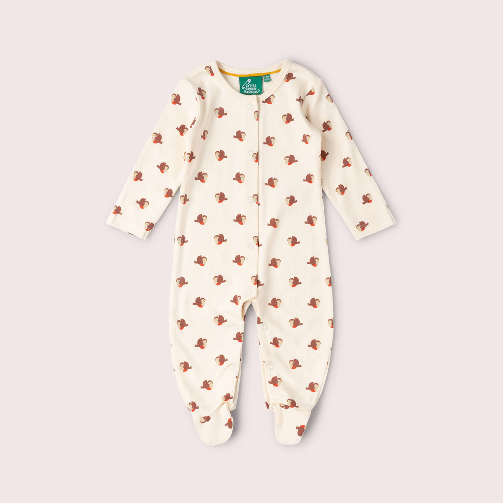 Little Robin Organic Babygrow