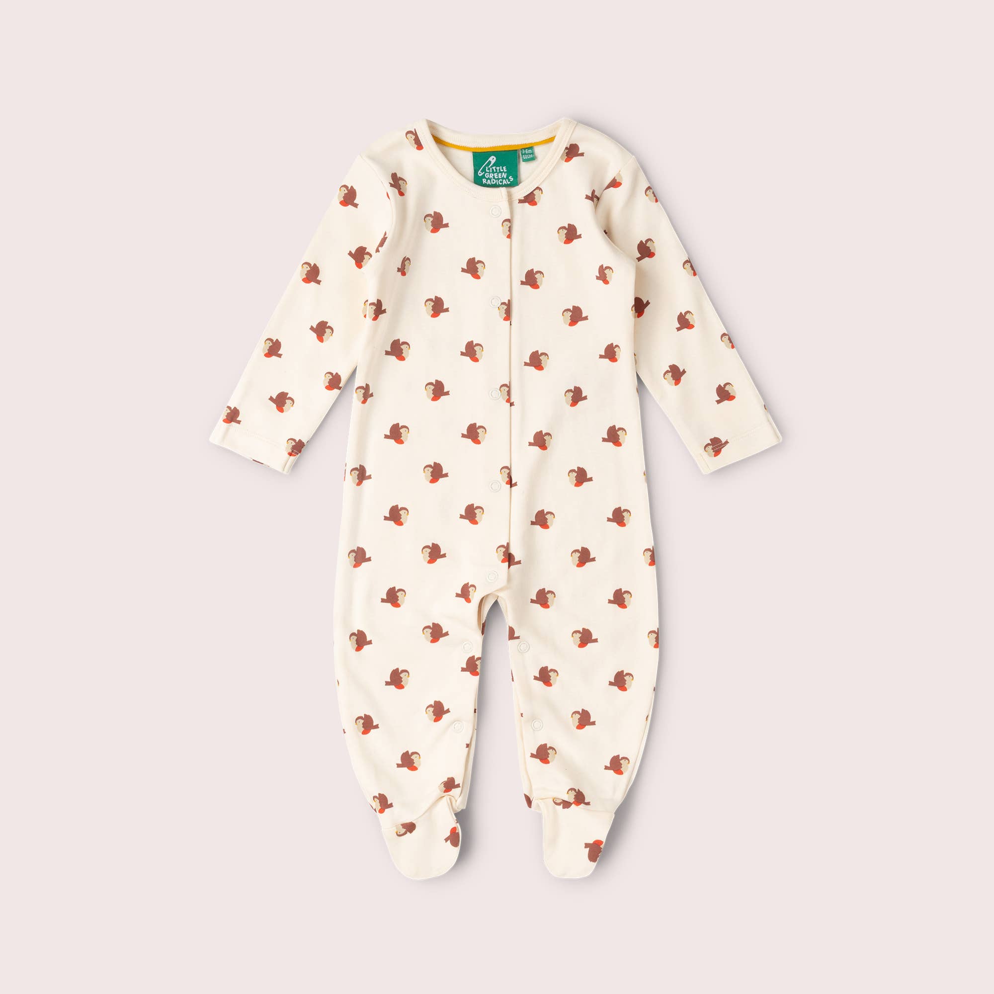 Little Robin Organic Babygrow