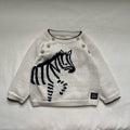 Lucky Zebra Jumper