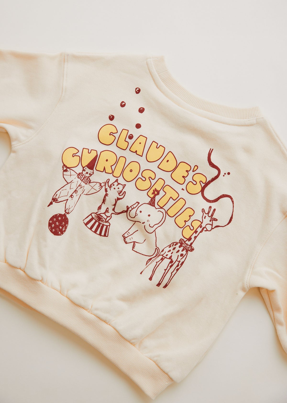 Claude & Co Carner Claude's Curiosities circus print sweater for kids – image 8