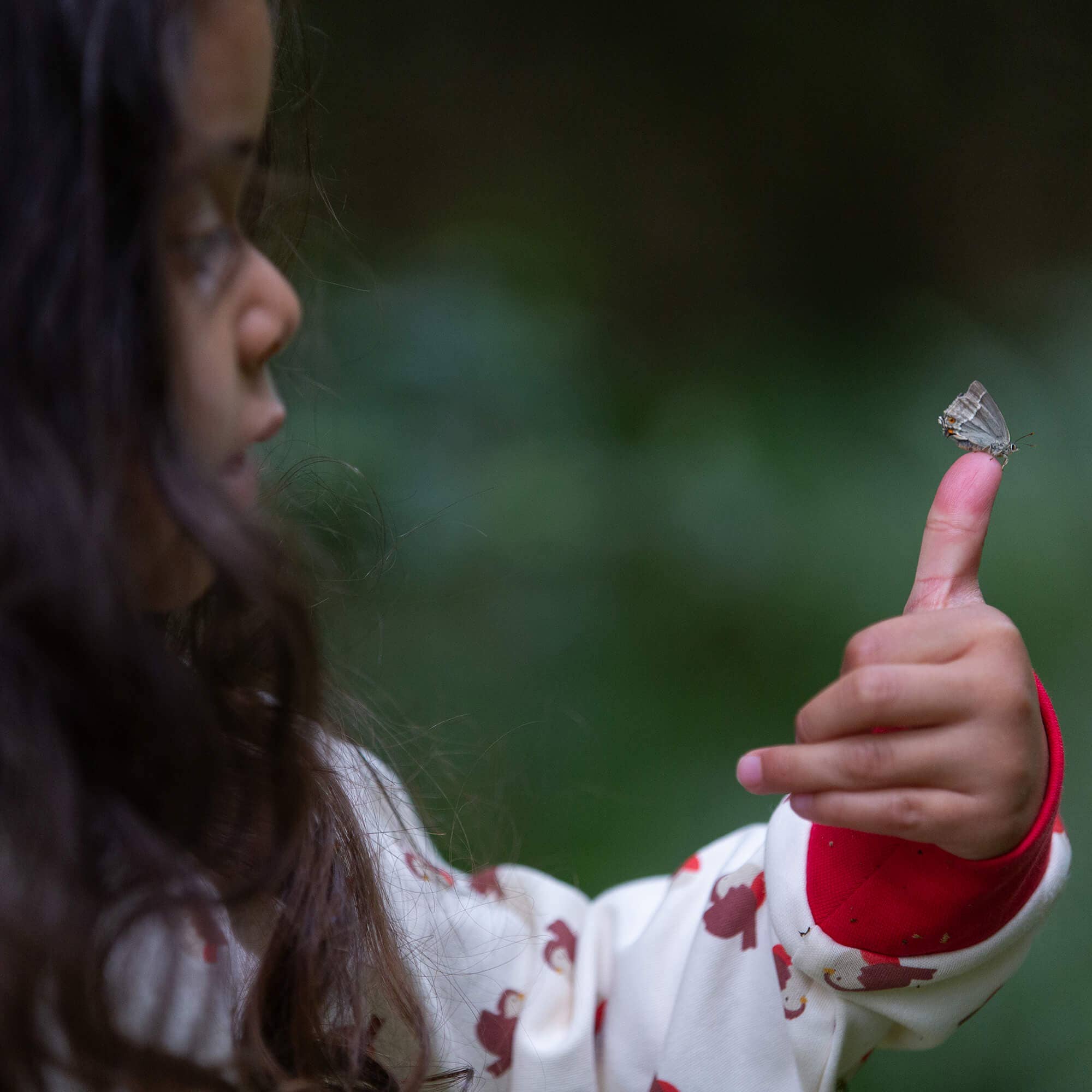 Little Robin Organic Pyjamas