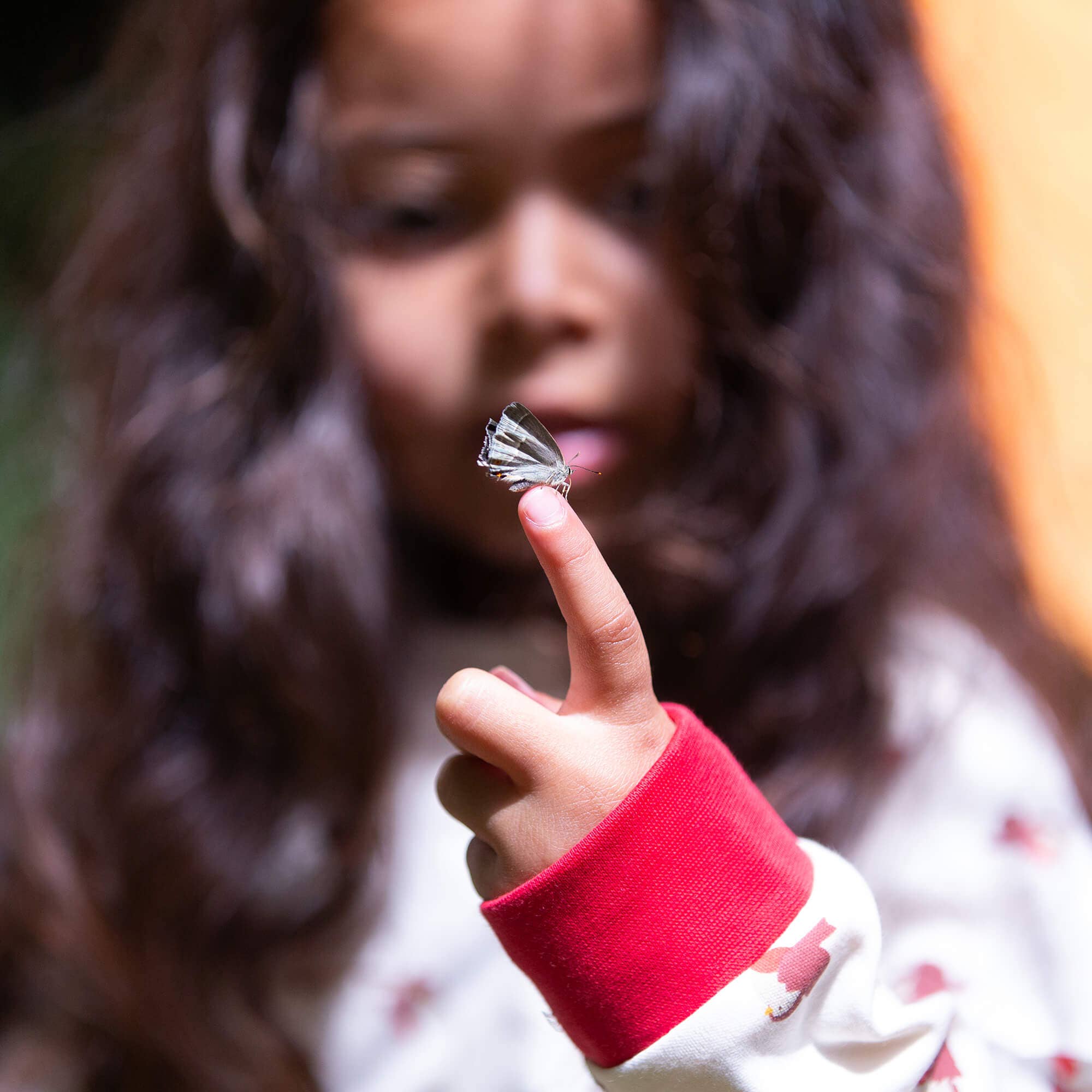 Little Robin Organic Pyjamas